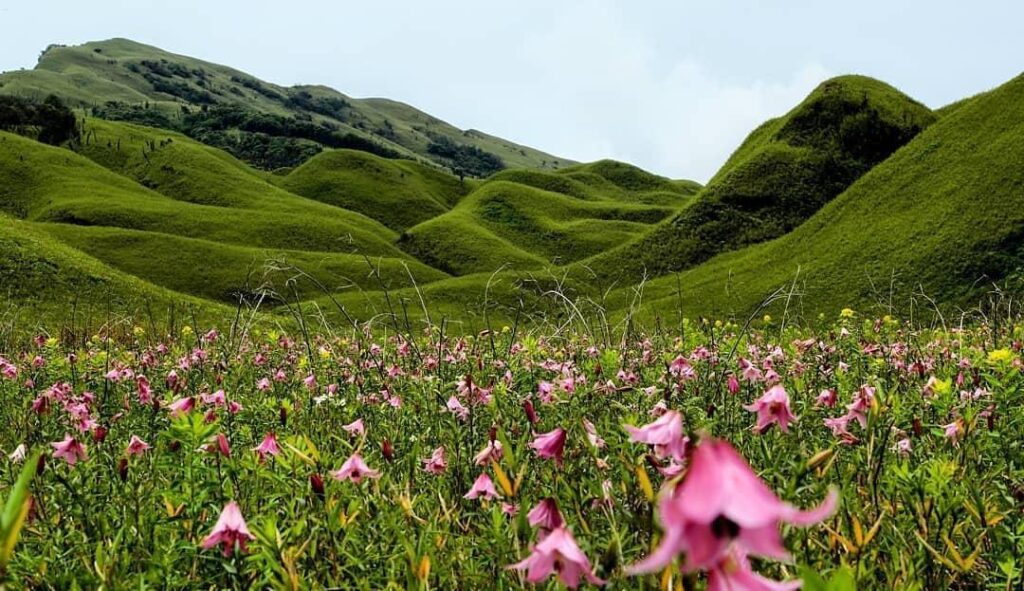 Dzukou Valley: Top 10 Places to Visit in Nagaland